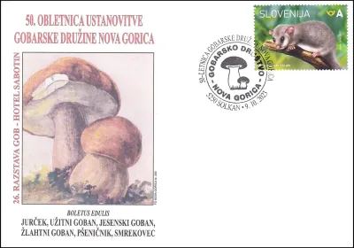 50 - LETNICA GOBARSKE DRUŽINE NOVA GORICA